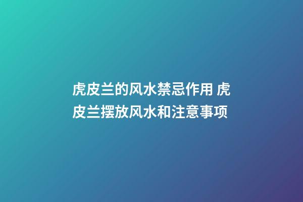 虎皮兰的风水禁忌作用 虎皮兰摆放风水和注意事项